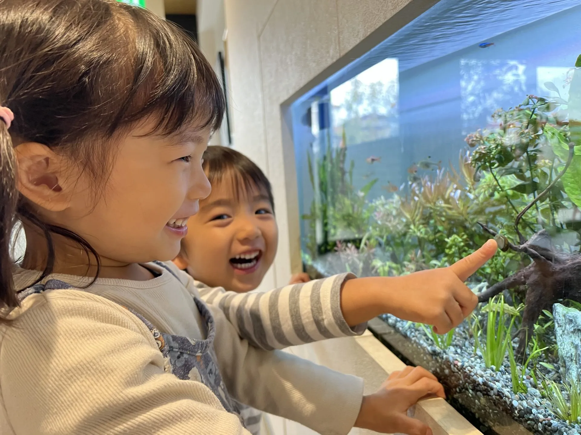 子ども達と一緒に働きませんか？